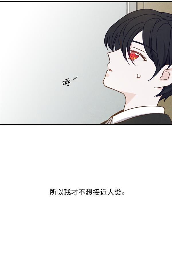 流星花园漫画韩漫全集-第49话无删减无遮挡章节图片 