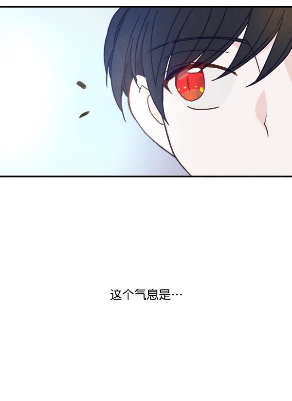 流星花园漫画韩漫全集-第49话无删减无遮挡章节图片 
