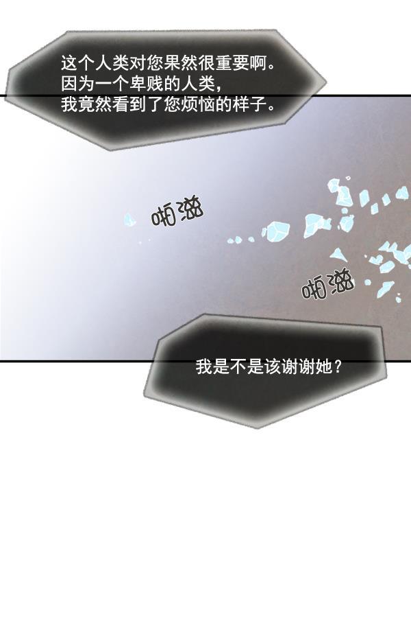 流星花园漫画韩漫全集-第50话无删减无遮挡章节图片 