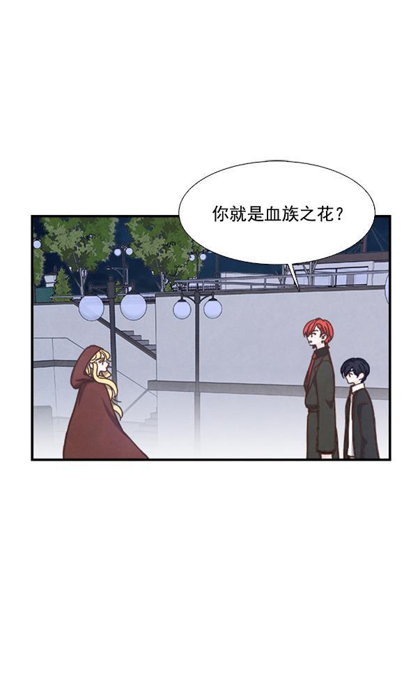流星花园漫画韩漫全集-第52话无删减无遮挡章节图片 
