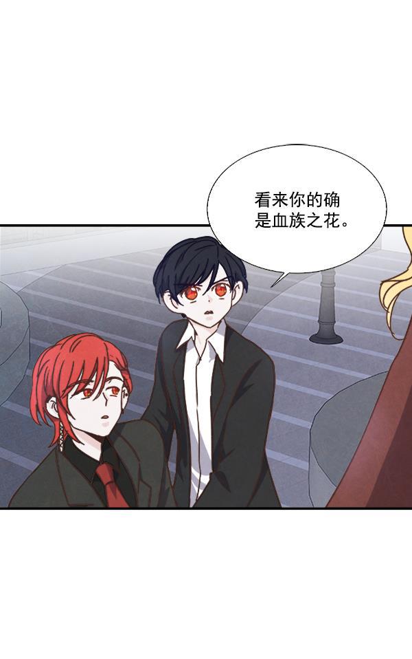 流星花园漫画韩漫全集-第52话无删减无遮挡章节图片 