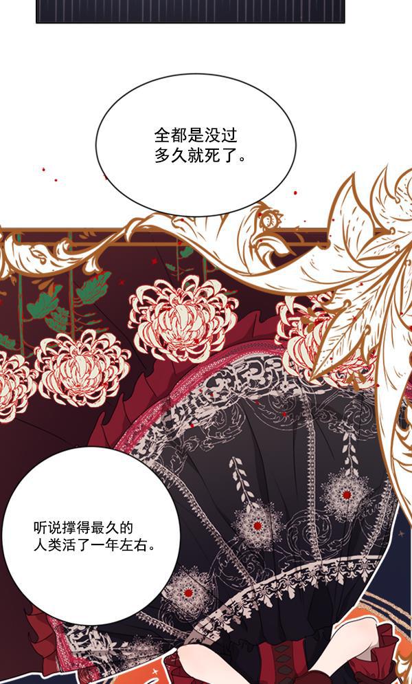 流星花园漫画韩漫全集-[第二季] 第10话无删减无遮挡章节图片 