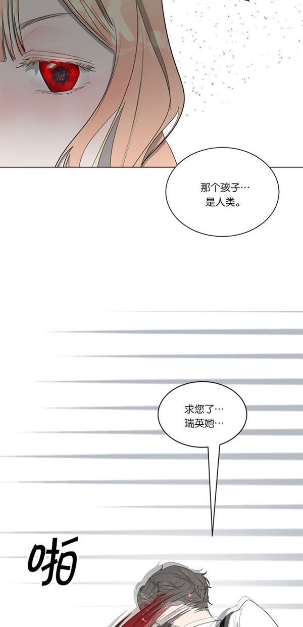 流星花园漫画韩漫全集-[第二季] 第12话无删减无遮挡章节图片 