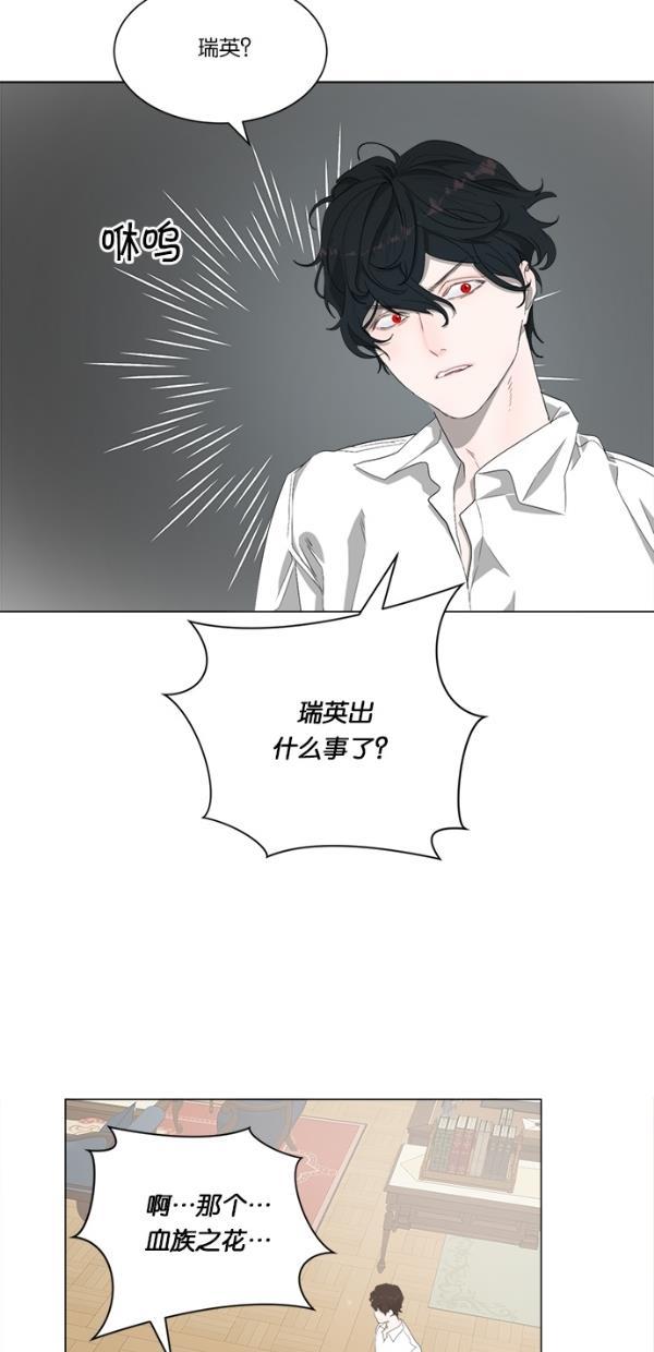 流星花园漫画韩漫全集-[第二季] 第13话无删减无遮挡章节图片 