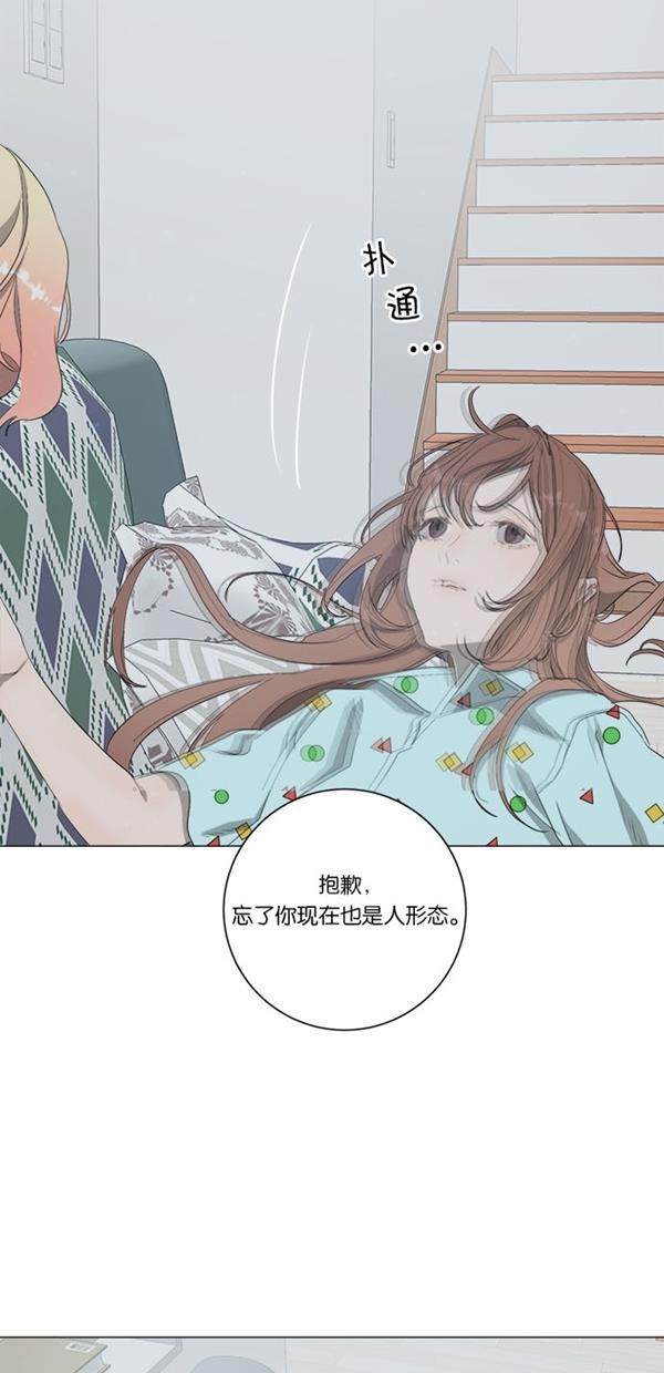流星花园漫画韩漫全集-[第二季] 第13话无删减无遮挡章节图片 