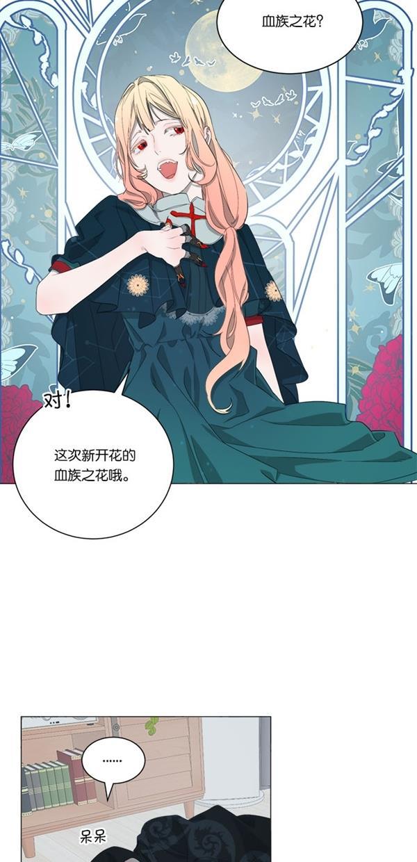 流星花园漫画韩漫全集-[第二季] 第13话无删减无遮挡章节图片 