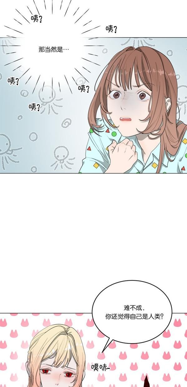 流星花园漫画韩漫全集-[第二季] 第14话无删减无遮挡章节图片 