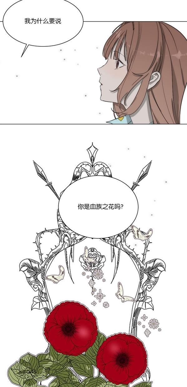 流星花园漫画韩漫全集-[第二季] 第14话无删减无遮挡章节图片 