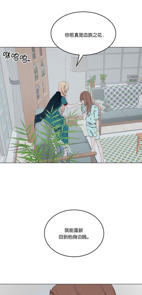 流星花园漫画韩漫全集-[第二季] 第14话无删减无遮挡章节图片 
