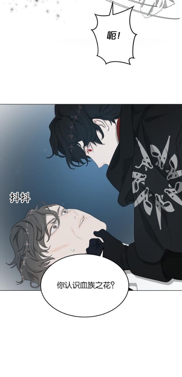 流星花园漫画韩漫全集-[第二季] 第14话无删减无遮挡章节图片 