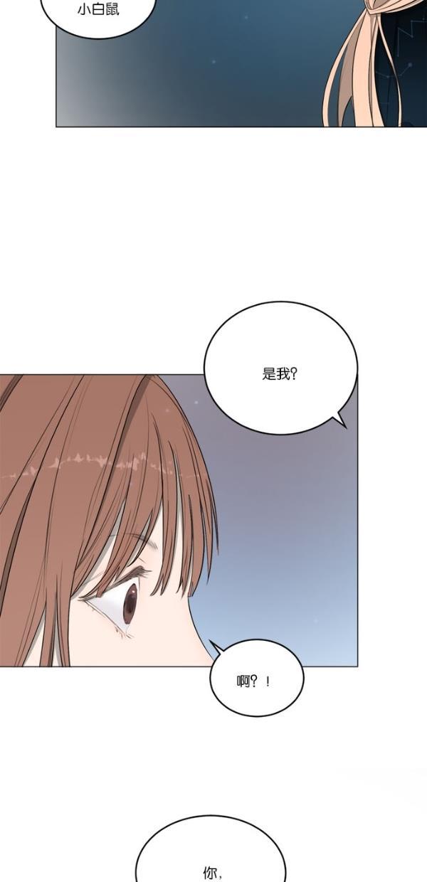 流星花园漫画韩漫全集-[第二季] 第15话无删减无遮挡章节图片 
