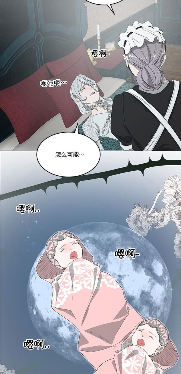 流星花园漫画韩漫全集-[第二季] 第15话无删减无遮挡章节图片 