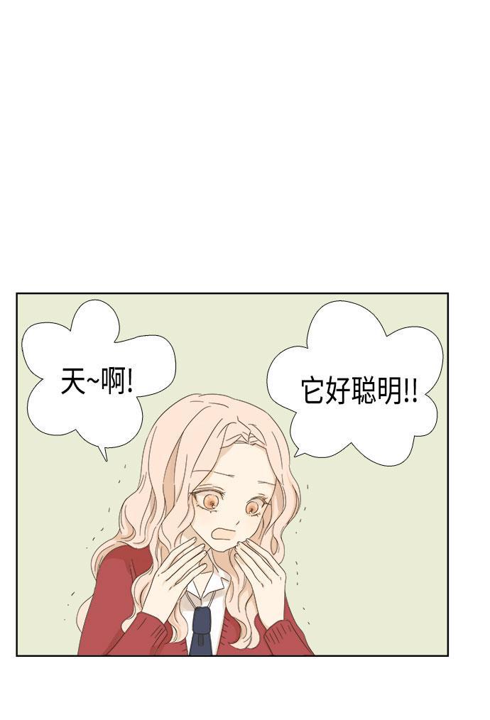 汗汗漫画官网韩漫全集-第9话无删减无遮挡章节图片 