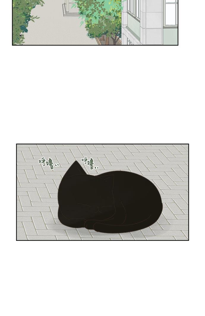 汗汗漫画官网韩漫全集-第9话无删减无遮挡章节图片 