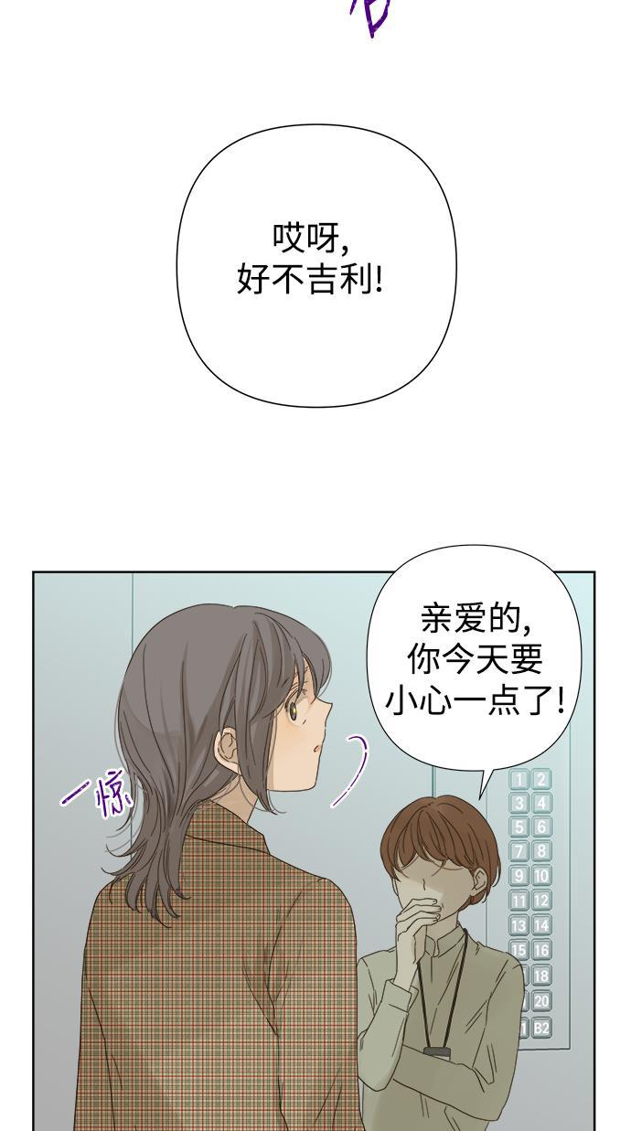汗汗漫画官网韩漫全集-第52话无删减无遮挡章节图片 