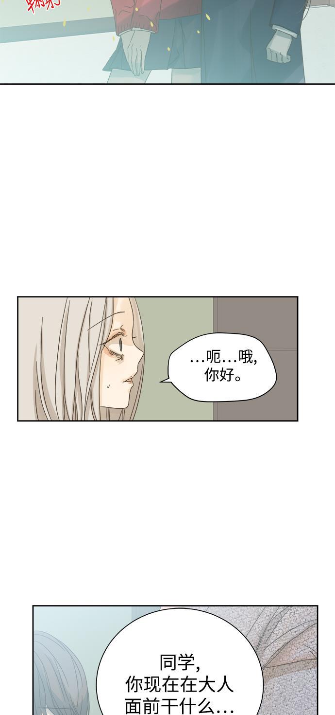 汗汗漫画官网韩漫全集-第55话无删减无遮挡章节图片 