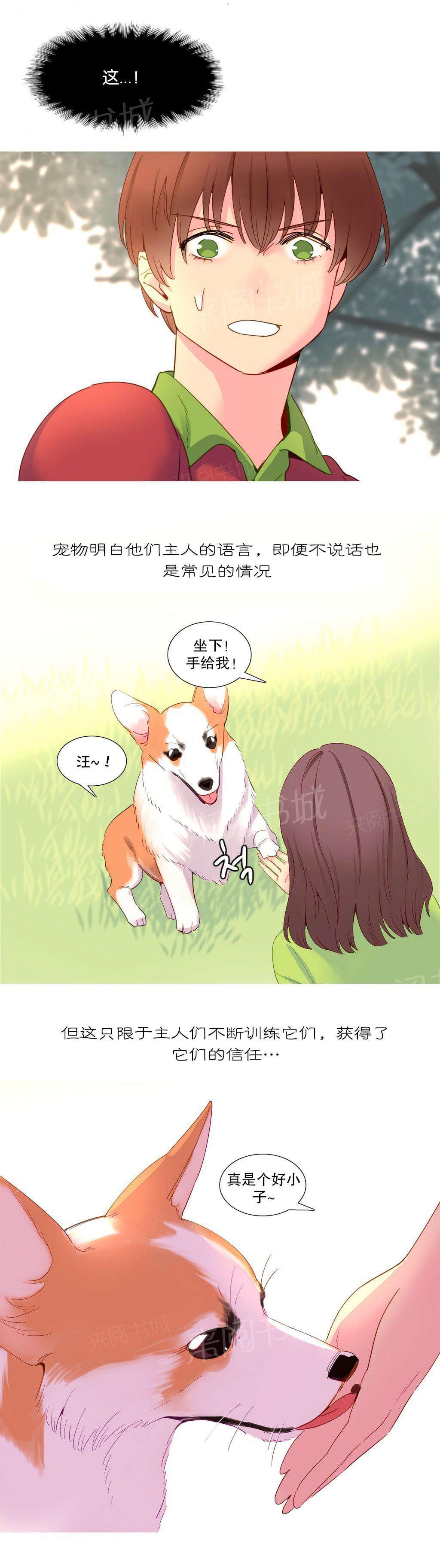 大逃杀漫画韩漫全集-第15话 理解无删减无遮挡章节图片 