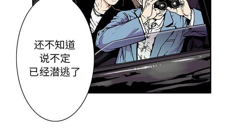 喵喵漫画韩漫全集-第11话 金手铐奖的刑警无删减无遮挡章节图片 
