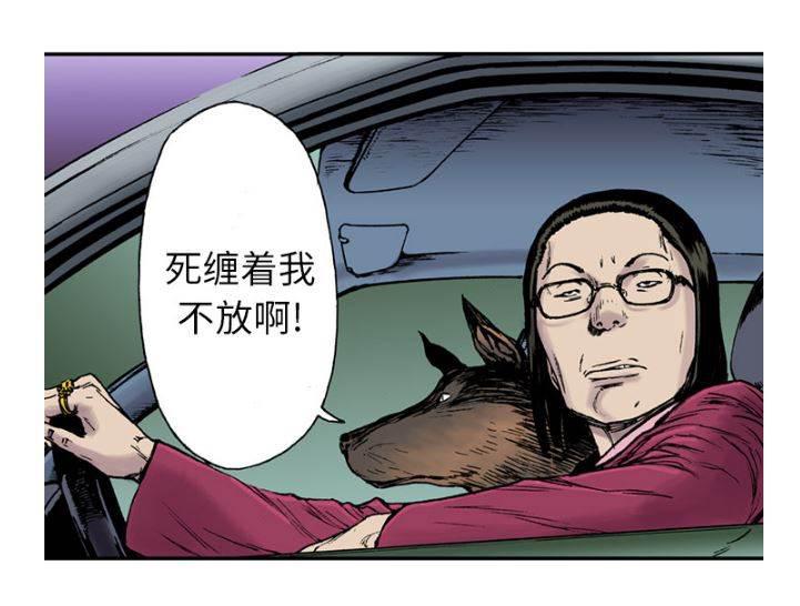 喵喵漫画韩漫全集-第29话 抓捕金文植无删减无遮挡章节图片 