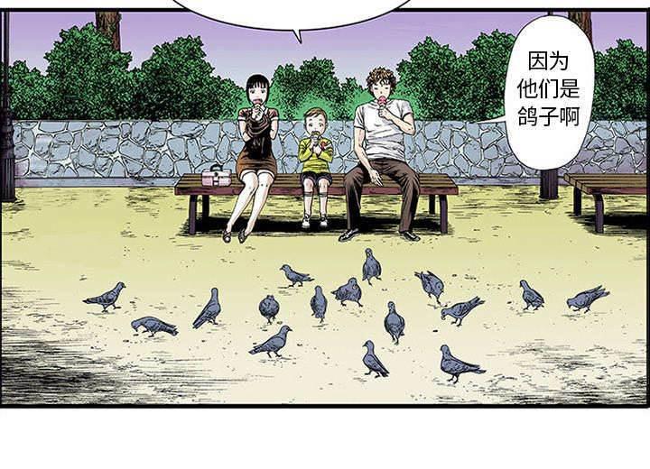 喵喵漫画韩漫全集-第43话 取代无删减无遮挡章节图片 
