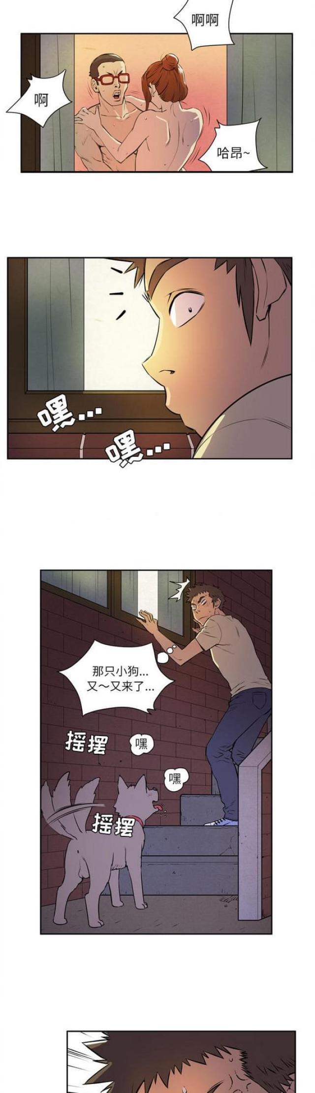 海贼王漫画鼠绘韩漫全集-第12话无删减无遮挡章节图片 