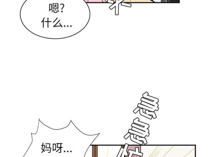 海贼王漫画鼠绘韩漫全集-第1话 贱女人无删减无遮挡章节图片 