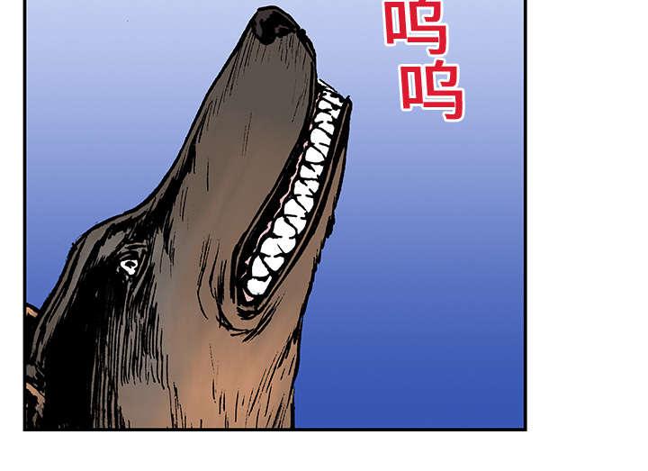 歪歪漫画免费韩漫全集-29_抓捕金文植无删减无遮挡章节图片 