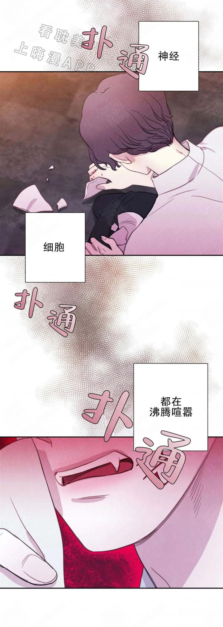 火影忍者疾风传漫画韩漫全集-第4话无删减无遮挡章节图片 