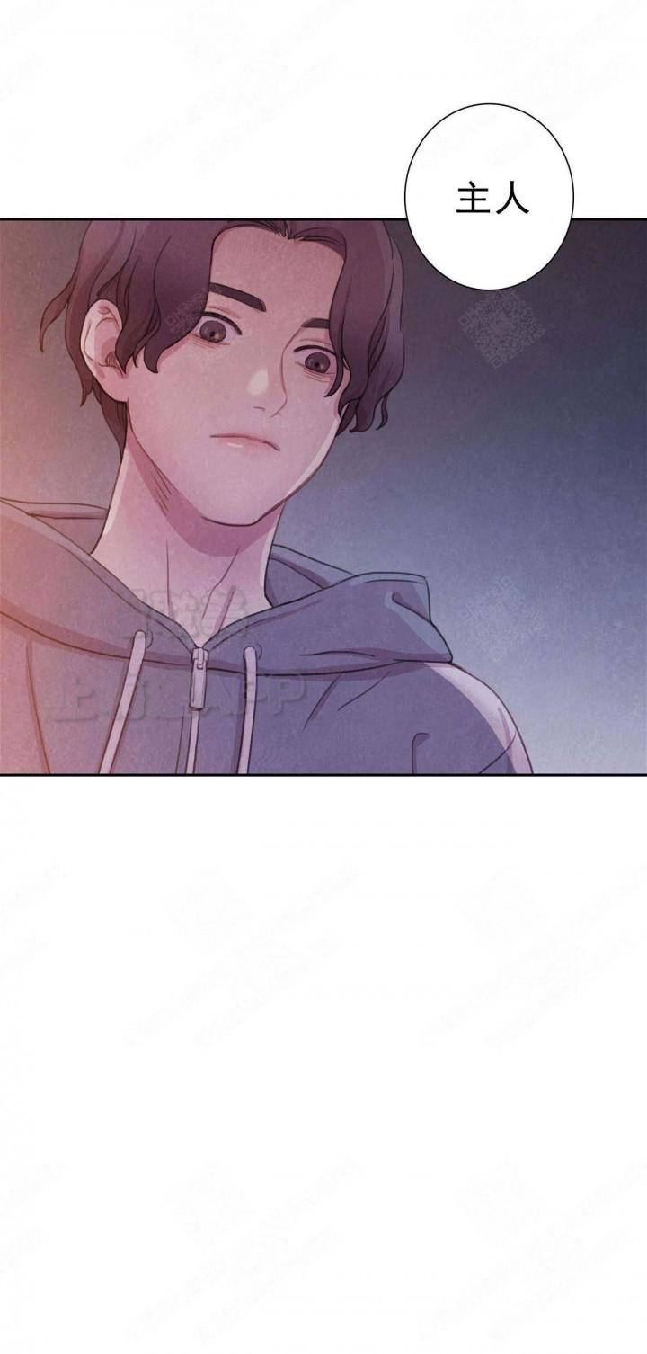 火影忍者疾风传漫画韩漫全集-第11话无删减无遮挡章节图片 