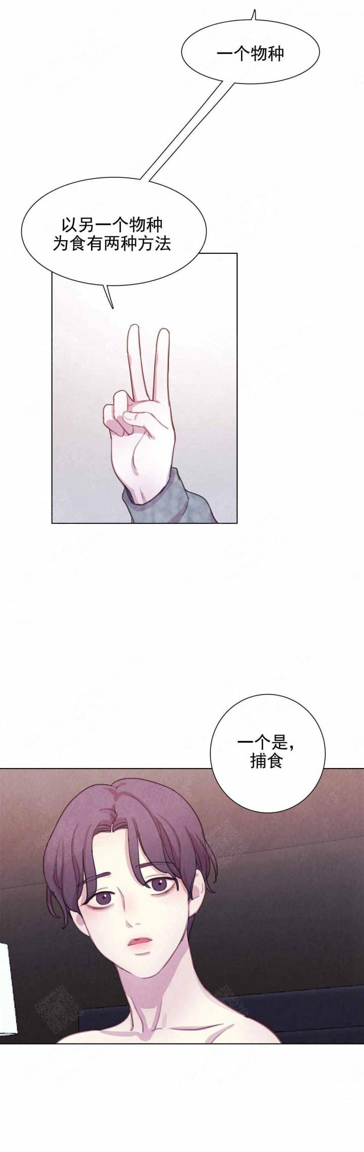火影忍者疾风传漫画韩漫全集-第17话无删减无遮挡章节图片 