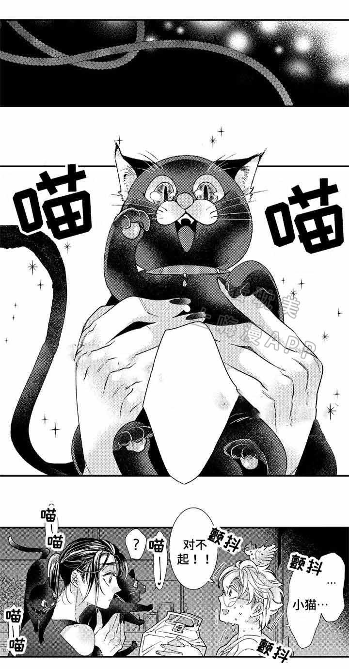 今天开始恋爱吧漫画韩漫全集-第13话无删减无遮挡章节图片 