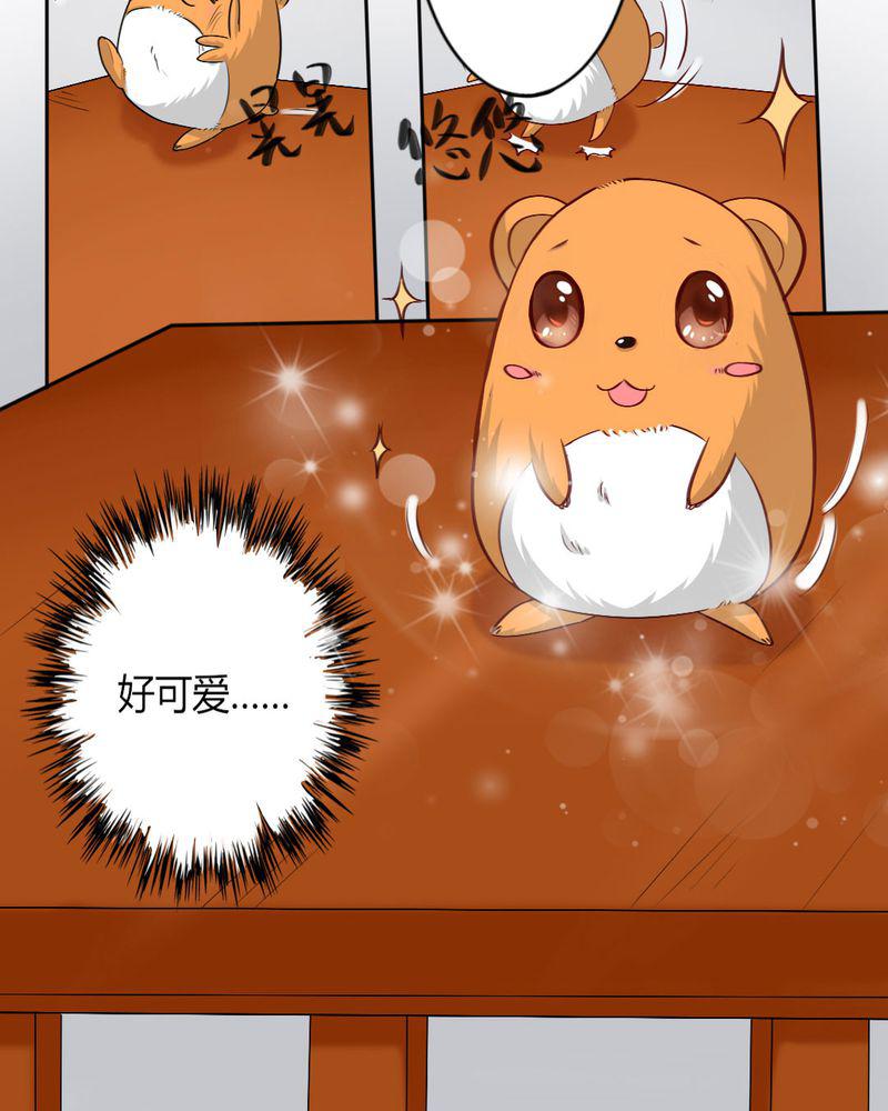 成人性漫画韩漫全集-8_我竟然输给一只仓鼠无删减无遮挡章节图片 
