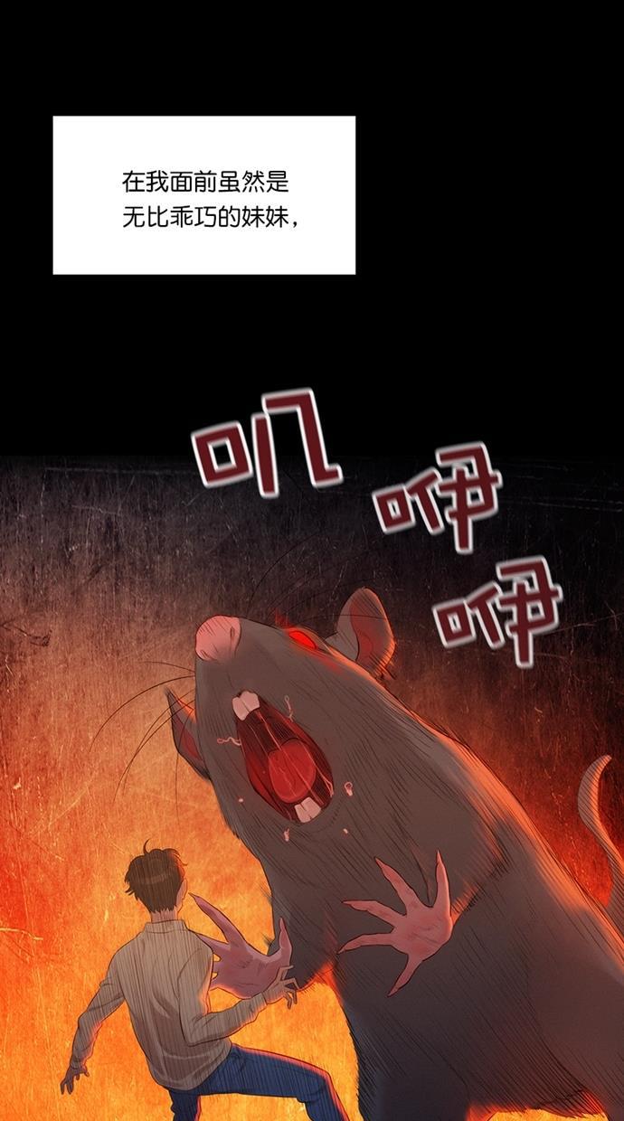 凌乱的漫画铺韩漫全集-第1话无删减无遮挡章节图片 