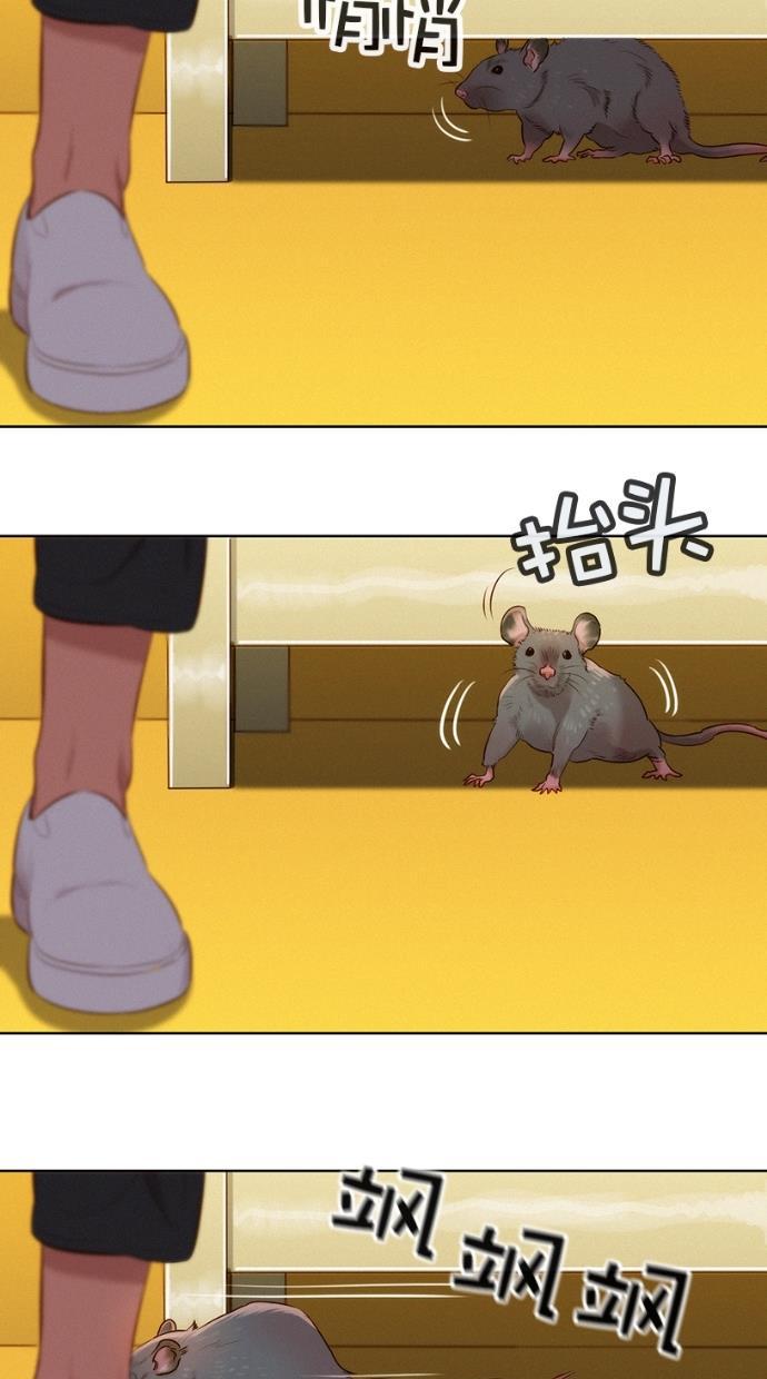 凌乱的漫画铺韩漫全集-第1话无删减无遮挡章节图片 