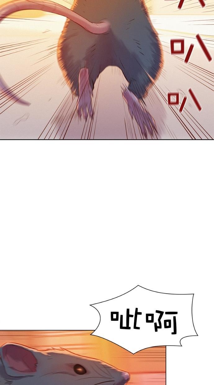 凌乱的漫画铺韩漫全集-第2话无删减无遮挡章节图片 