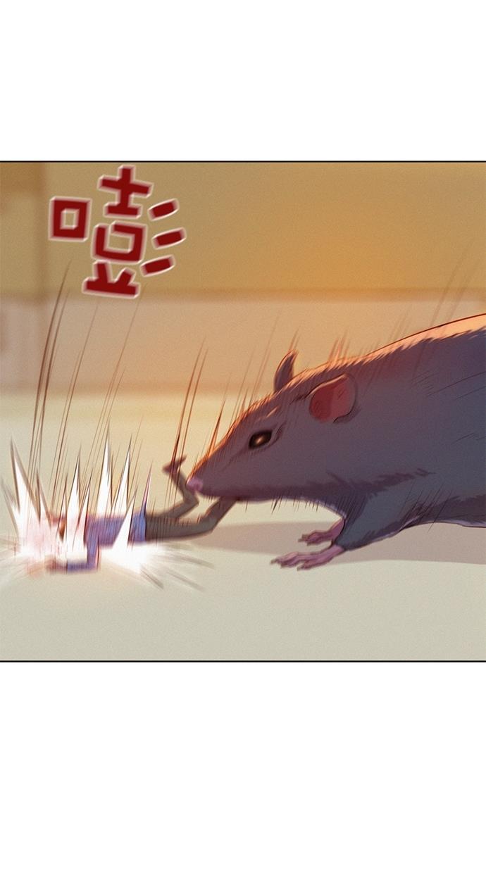 凌乱的漫画铺韩漫全集-第2话无删减无遮挡章节图片 