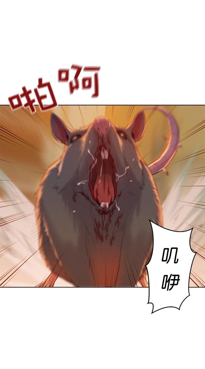 凌乱的漫画铺韩漫全集-第2话无删减无遮挡章节图片 