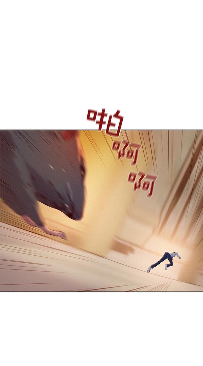 凌乱的漫画铺韩漫全集-第2话无删减无遮挡章节图片 