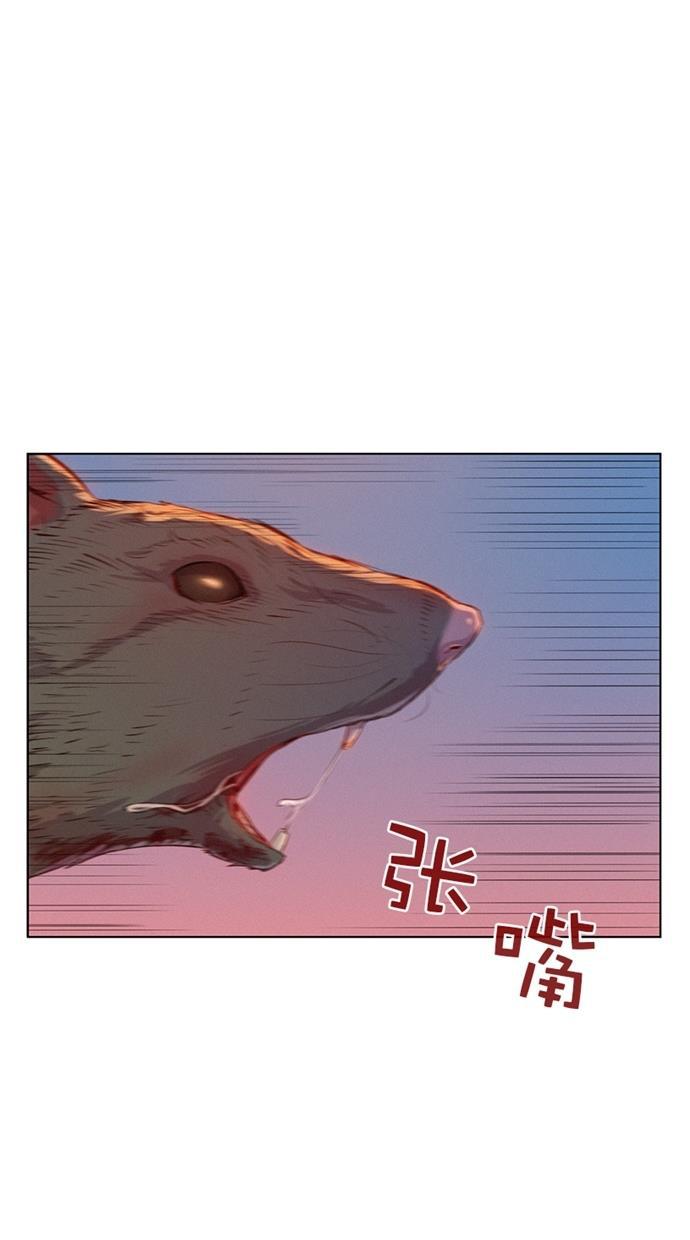 凌乱的漫画铺韩漫全集-第2话无删减无遮挡章节图片 
