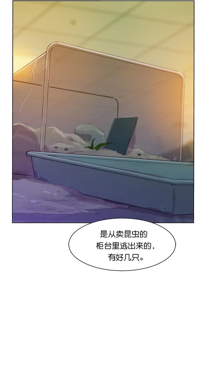 凌乱的漫画铺韩漫全集-第3话无删减无遮挡章节图片 
