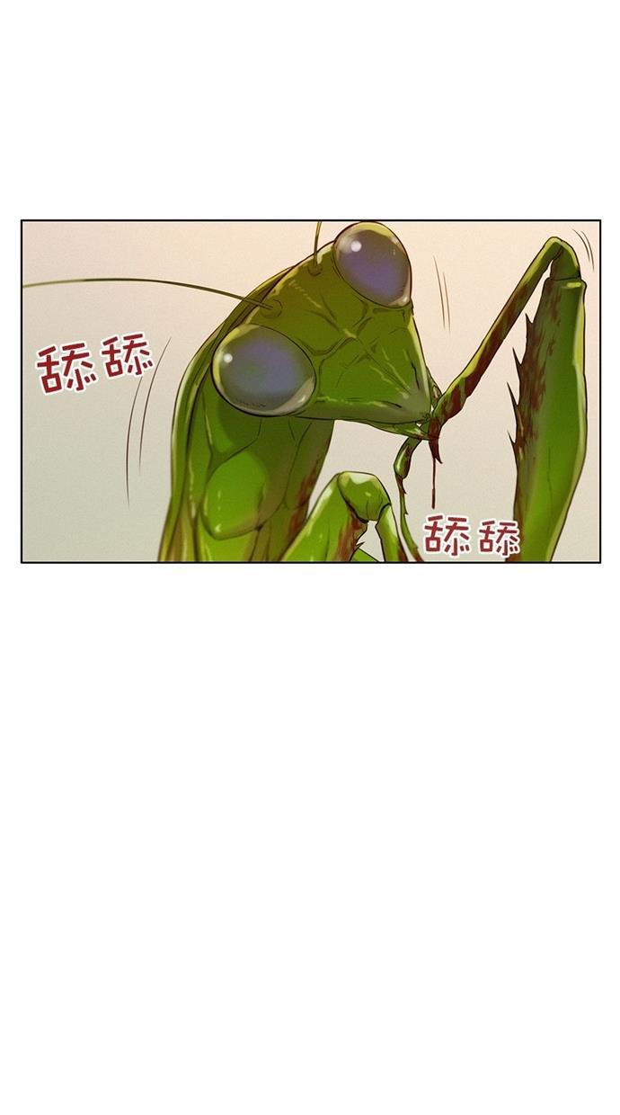 凌乱的漫画铺韩漫全集-第3话无删减无遮挡章节图片 