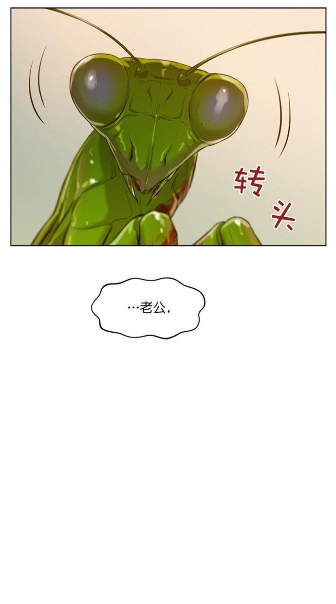 凌乱的漫画铺韩漫全集-第3话无删减无遮挡章节图片 