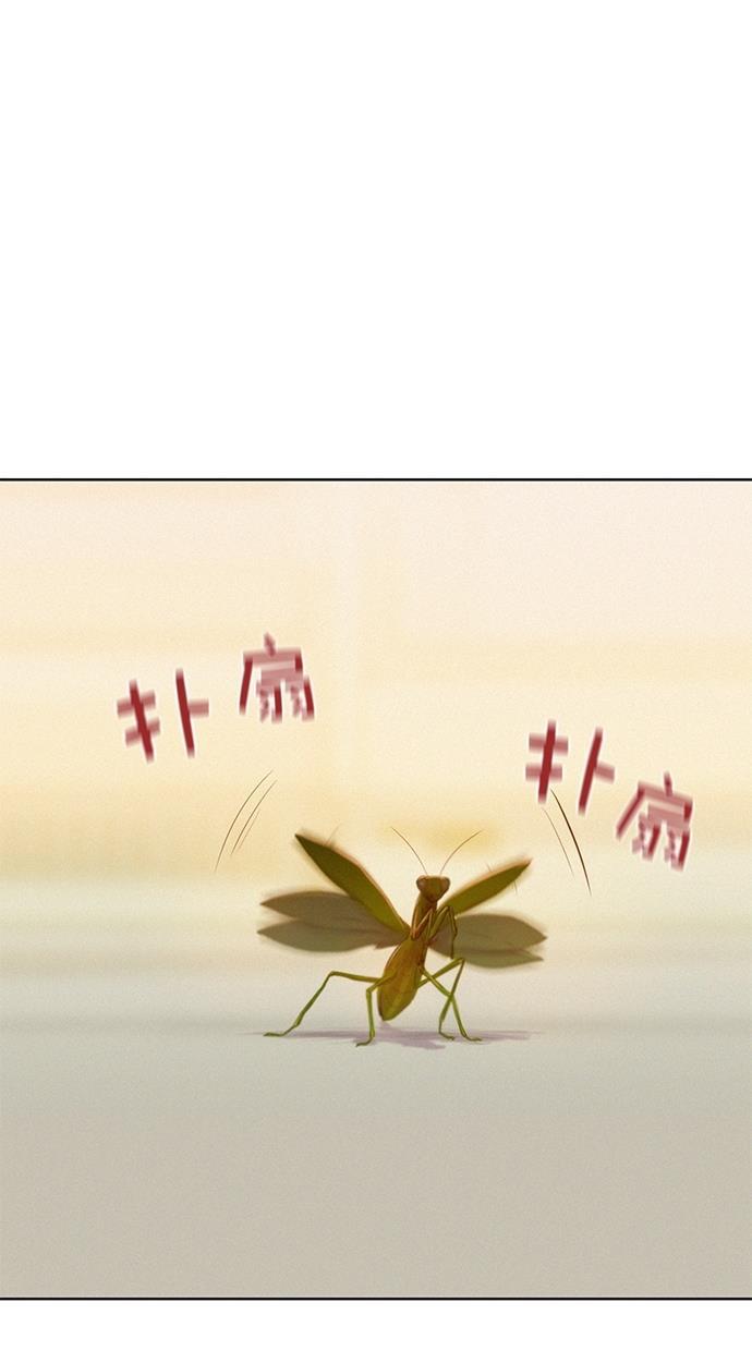 凌乱的漫画铺韩漫全集-第3话无删减无遮挡章节图片 
