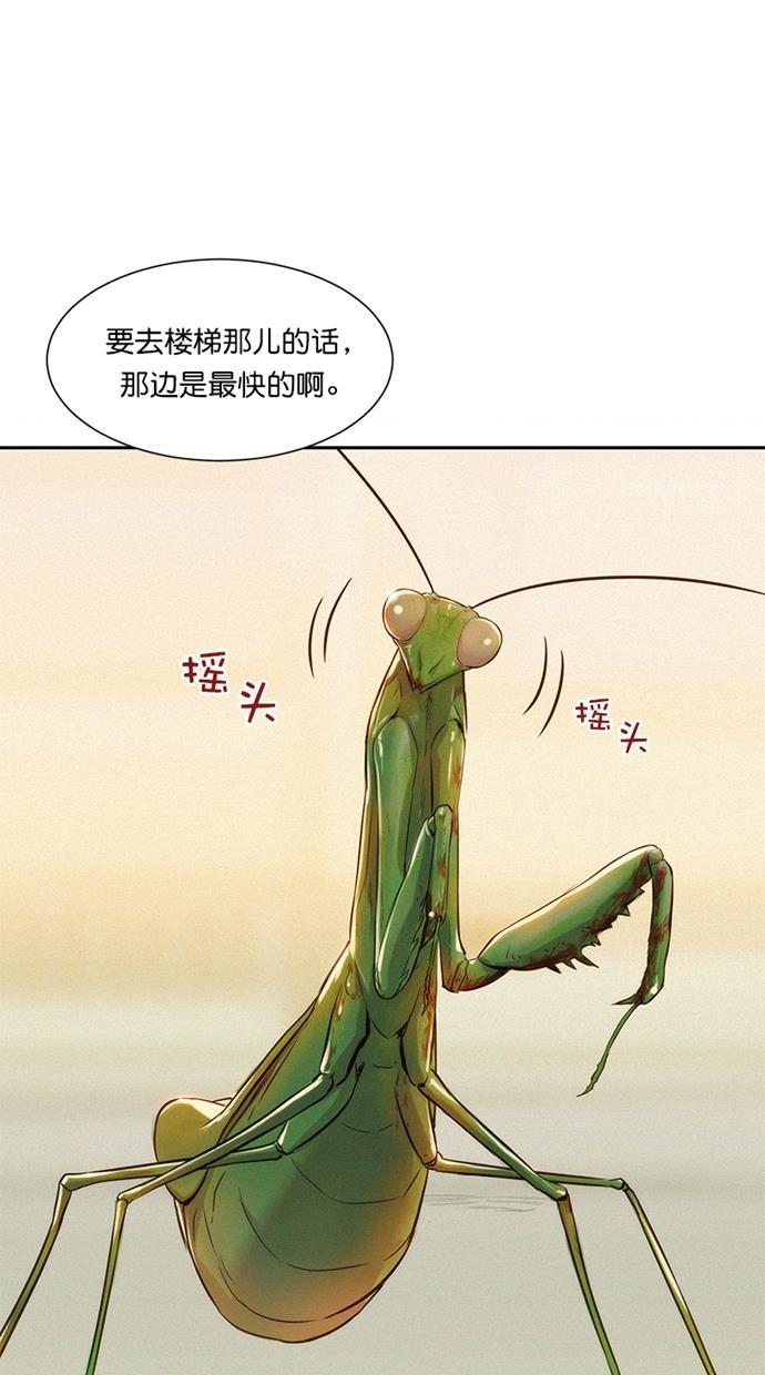 凌乱的漫画铺韩漫全集-第3话无删减无遮挡章节图片 