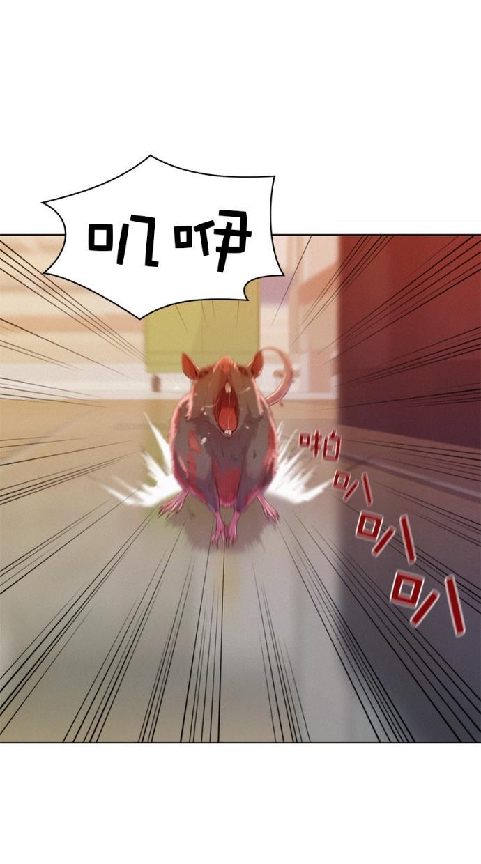 凌乱的漫画铺韩漫全集-第4话无删减无遮挡章节图片 
