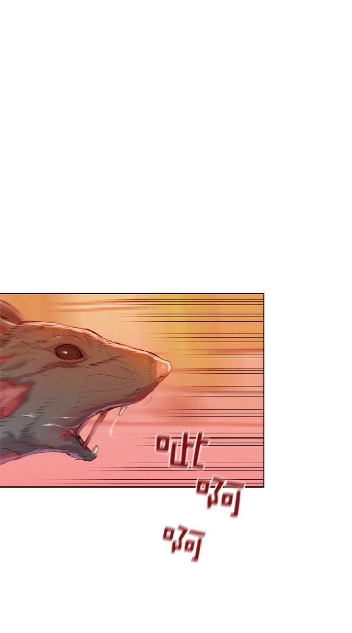 凌乱的漫画铺韩漫全集-第4话无删减无遮挡章节图片 