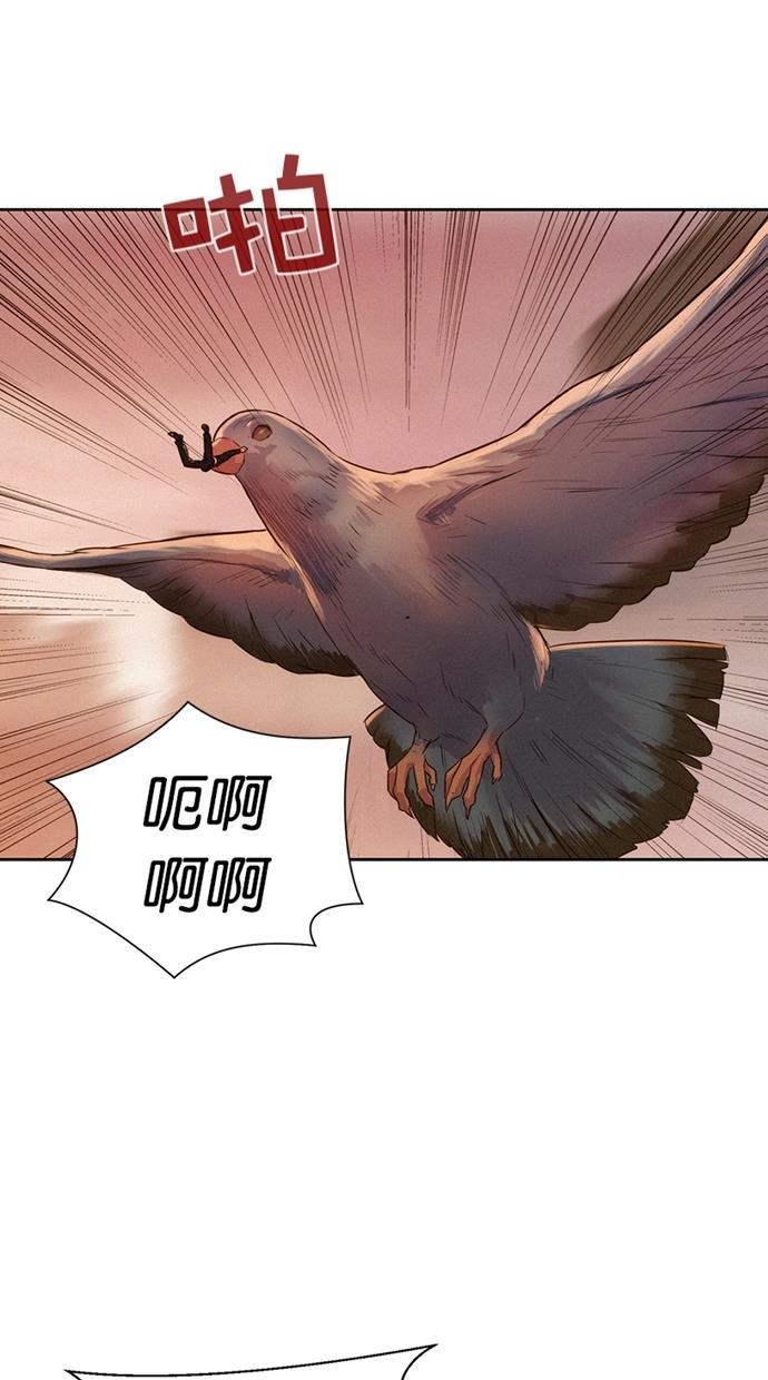 凌乱的漫画铺韩漫全集-第11话无删减无遮挡章节图片 
