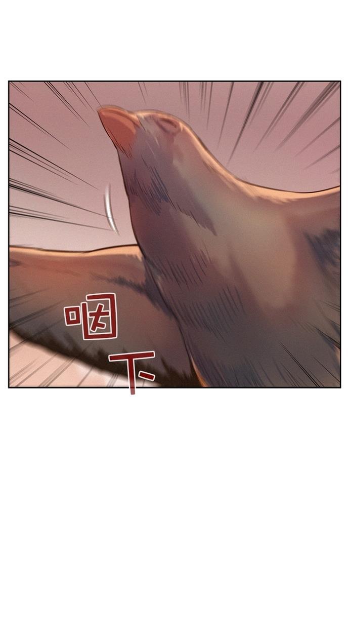 凌乱的漫画铺韩漫全集-第11话无删减无遮挡章节图片 