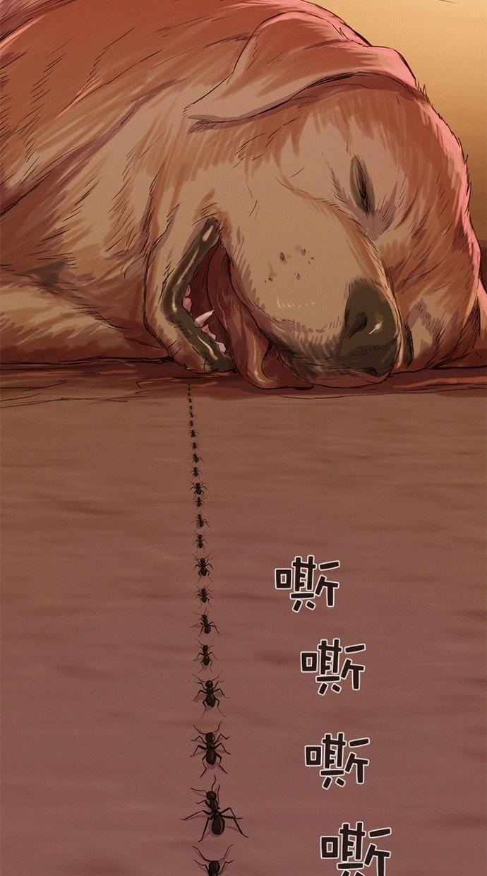 凌乱的漫画铺韩漫全集-第13话无删减无遮挡章节图片 