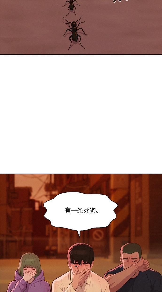 凌乱的漫画铺韩漫全集-第13话无删减无遮挡章节图片 